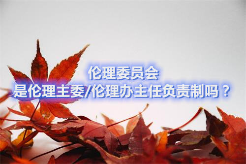 倫理委員會是倫理主委/倫理辦主任負責制嗎？(圖1)