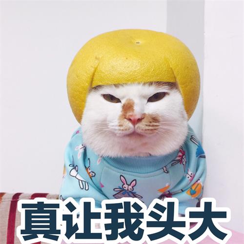 什么是臨床試驗風險管理（怎么寫臨床風險管理計劃）(圖2)