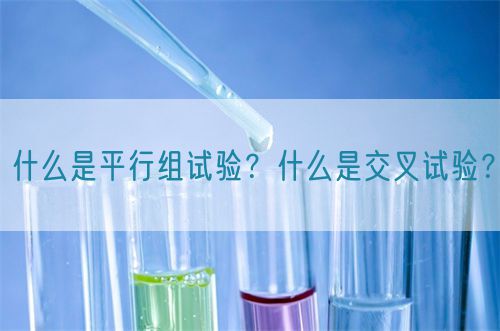 什么是平行組試驗？什么是交叉試驗？(圖1)