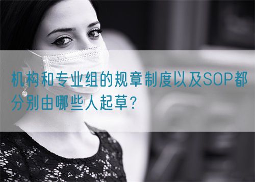 機構和專業組的規章制度以及SOP都分別由哪些人起草？(圖1)