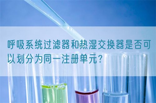 呼吸系統過濾器和熱濕交換器是否可以劃分為同一注冊單元？(圖1)