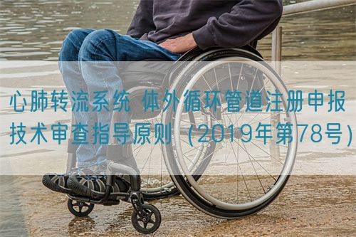 心肺轉流系統 體外循環管道注冊申報技術審查指導原則（2019年第78號）(圖1)