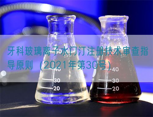 牙科玻璃離子水門汀注冊技術審查指導原則（2021年第30號）(圖1)