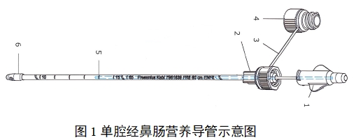 經鼻腸營養導管注冊審查指導原則（2022年第41號）(圖1)