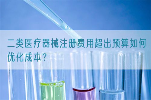 二類醫療器械注冊費用超出預算如何優化成本？(圖1)