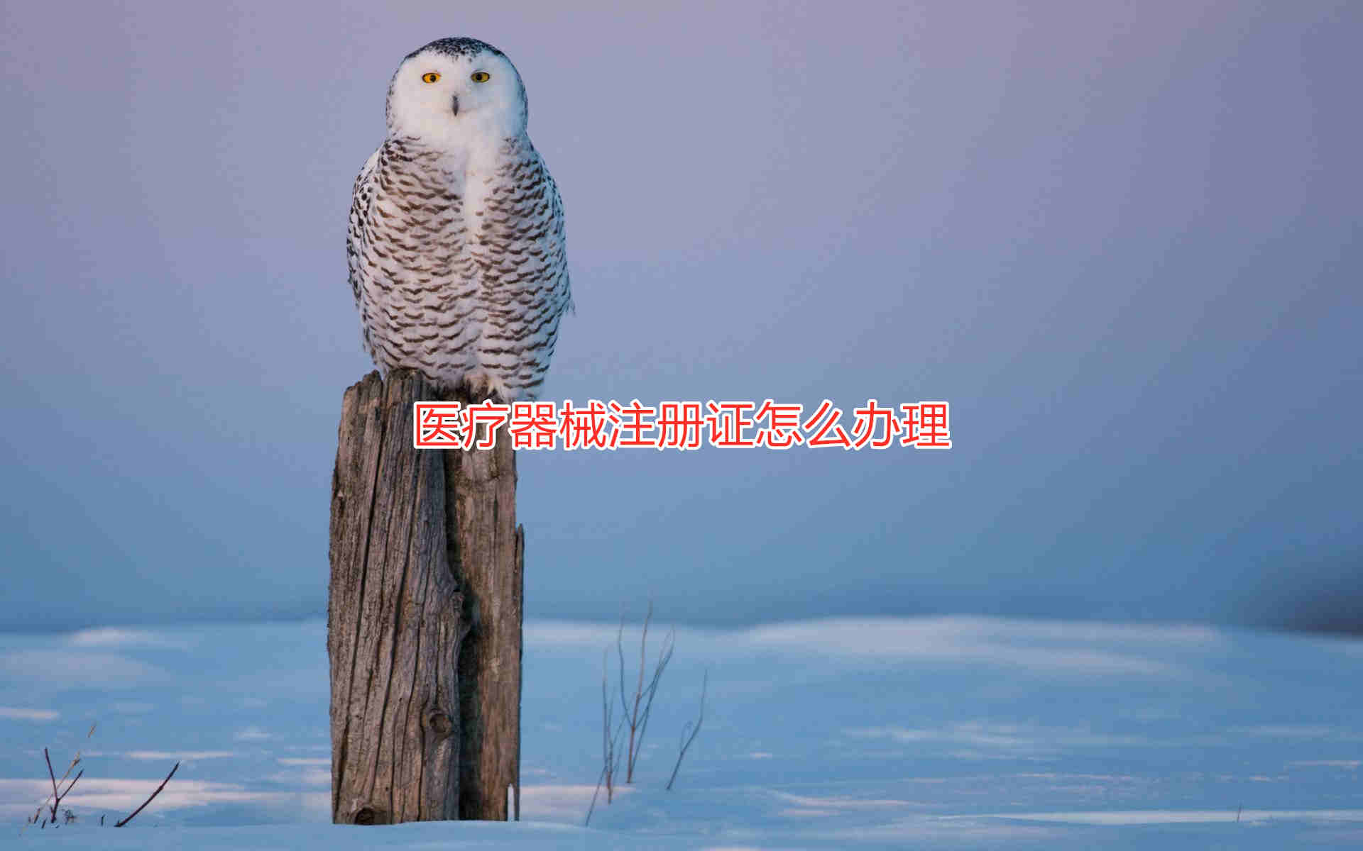 三類醫療器械注冊證辦理流程和周期說明