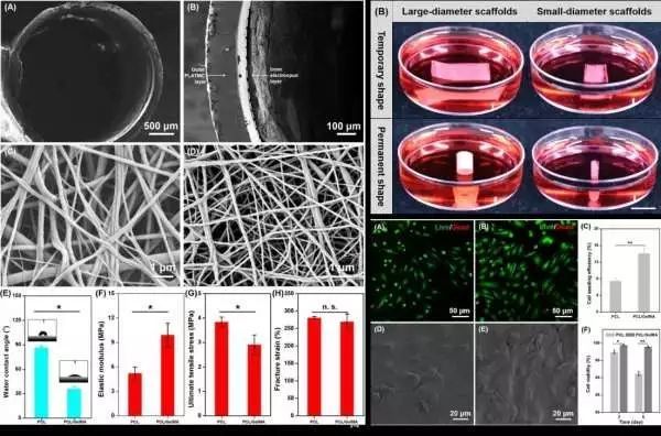 生物相容性是什么？如何準備生物相容性檢測的樣品？(圖2)