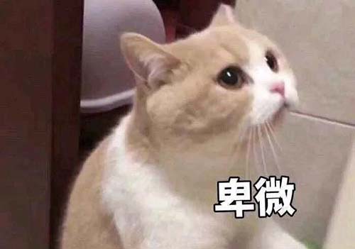 無經驗怎么入行CRA？入行CRA的硬性條件有哪些？(圖3)