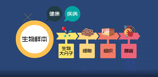 淺談CRC生物樣本管理！生物樣本采集、處理、存儲、運輸全過程注意事項(圖1)
