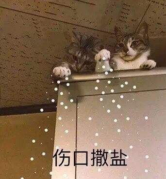 抗腫瘤藥物試驗中是否需要收集死亡證明？(圖2)