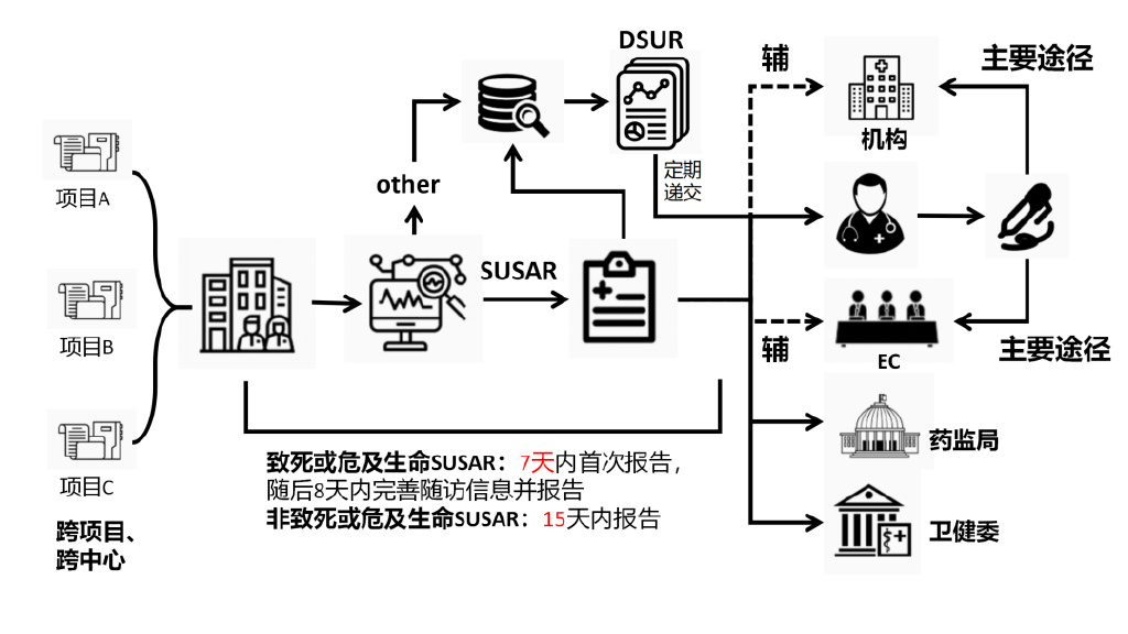 臨床試驗安全性事件如何上報？臨床試驗不良事件上報流程圖(圖3)